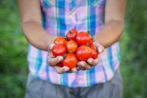 Lur eta Murmur: Etnografía feminista del tomate en Euskal Herria